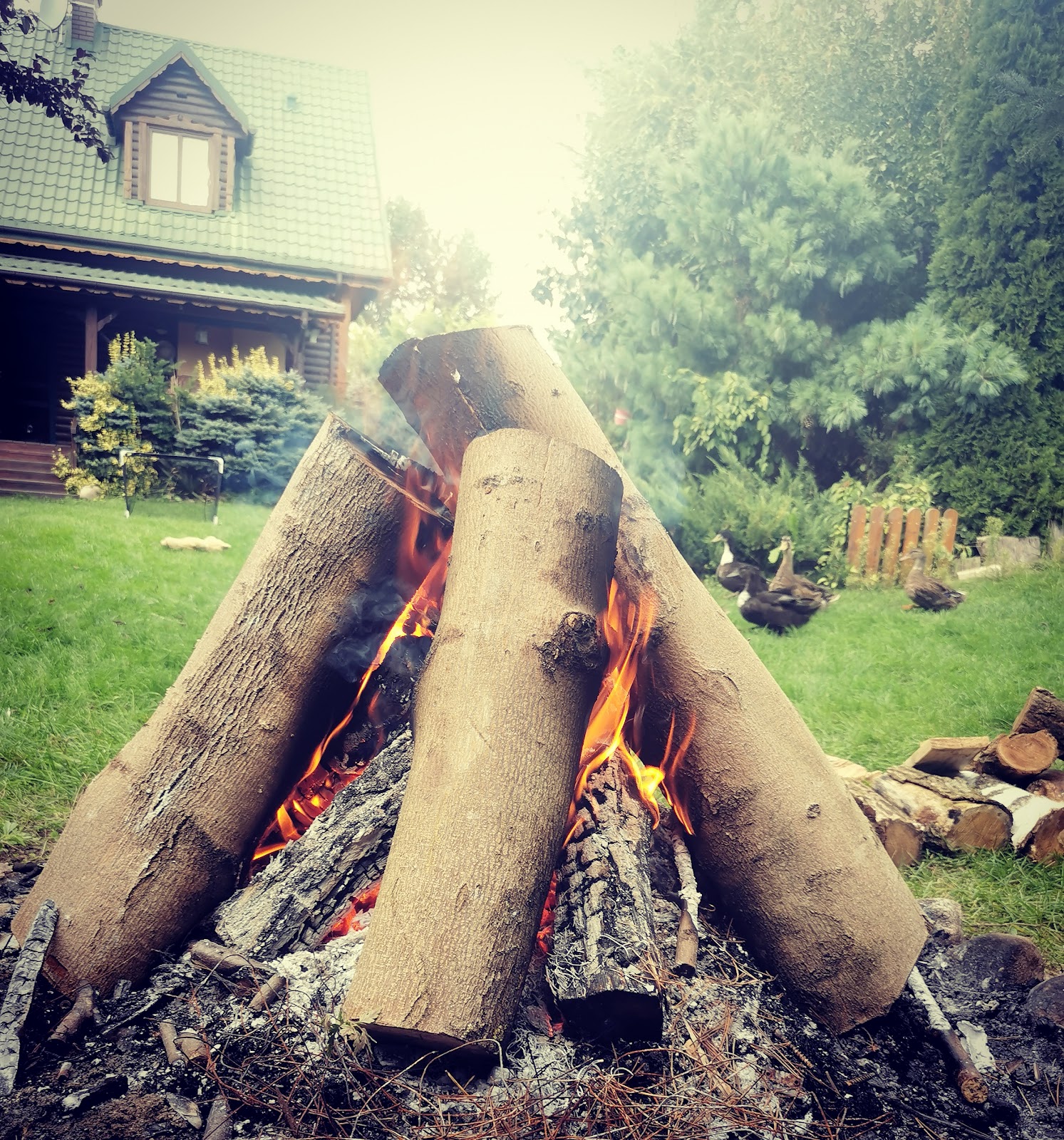 OGRÓD I OGNISKO