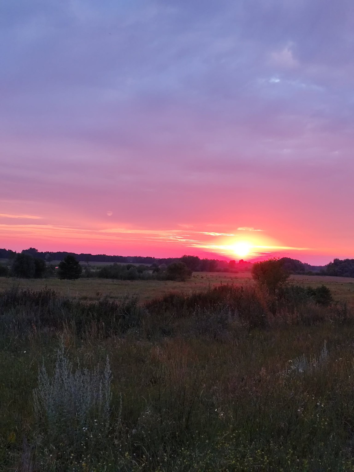 Późnoletni krajobraz Podlasia w okolicy Grannego